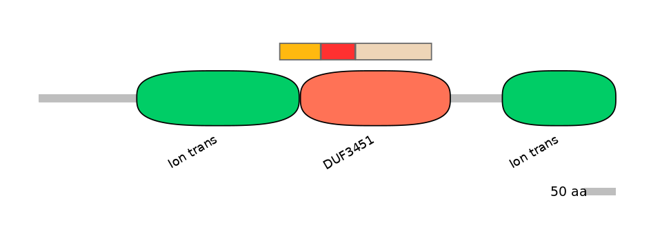 DreEX6096641-INC