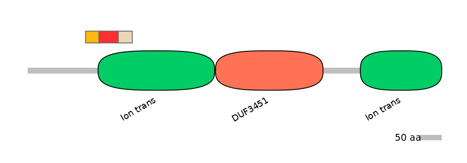 DreEX6096646-INC