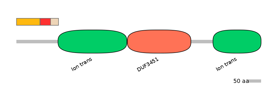 DreEX6096648-INC