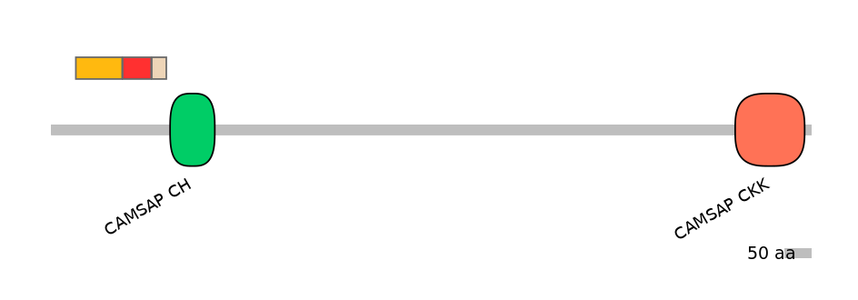DreEX6099098-INC