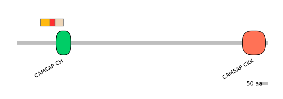 DreEX6099099-INC