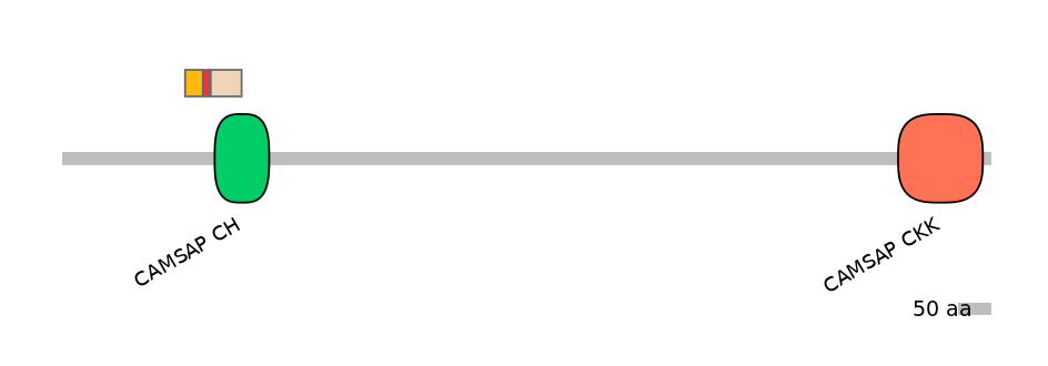 DreEX6099100-INC