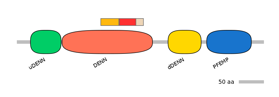 DreEX6099167-INC