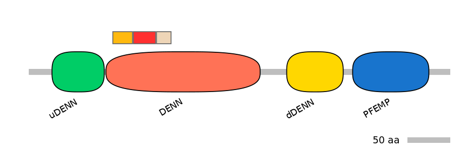 DreEX6099168-INC