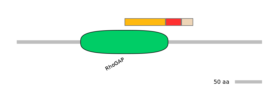 DreEX6099801-INC