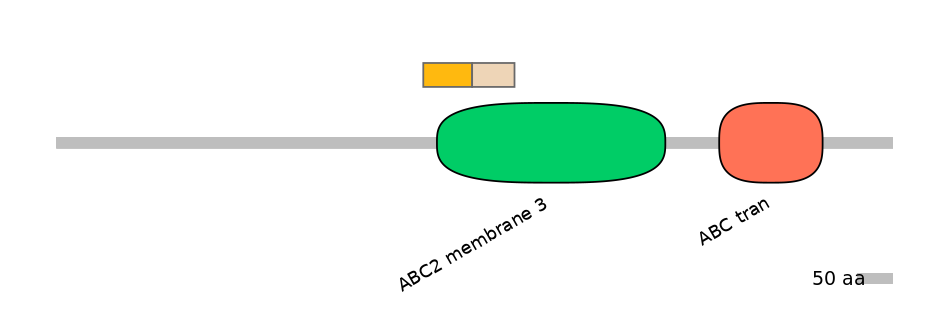 DreINT0000120-EXC