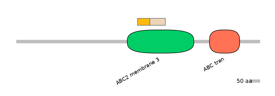 DreINT0000121-EXC