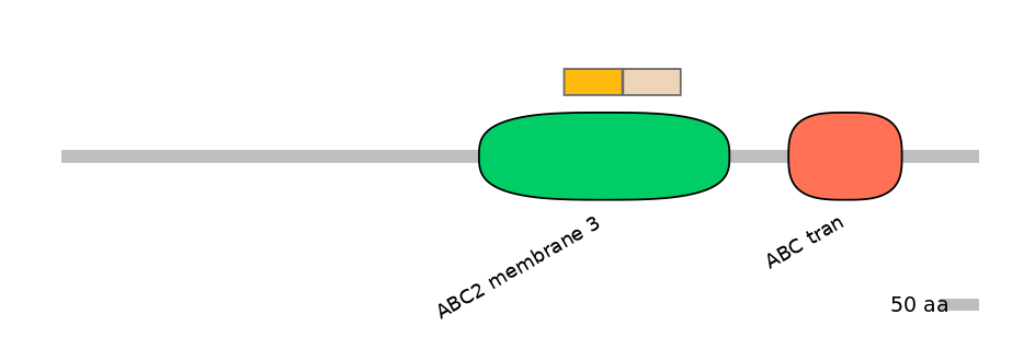 DreINT0000122-EXC