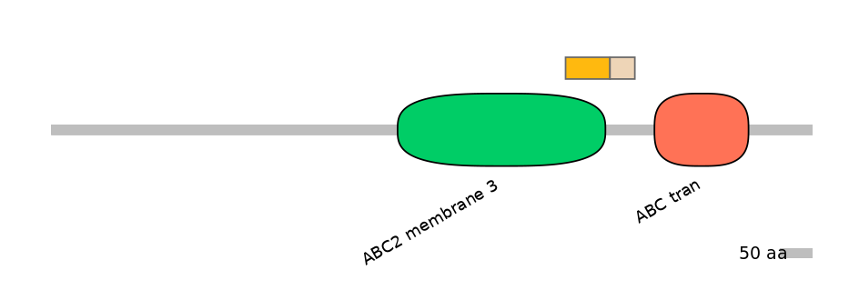 DreINT0000124-EXC