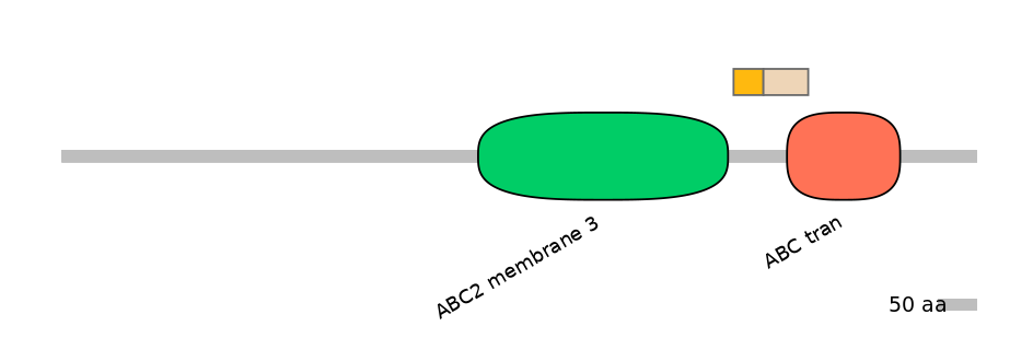 DreINT0000125-EXC