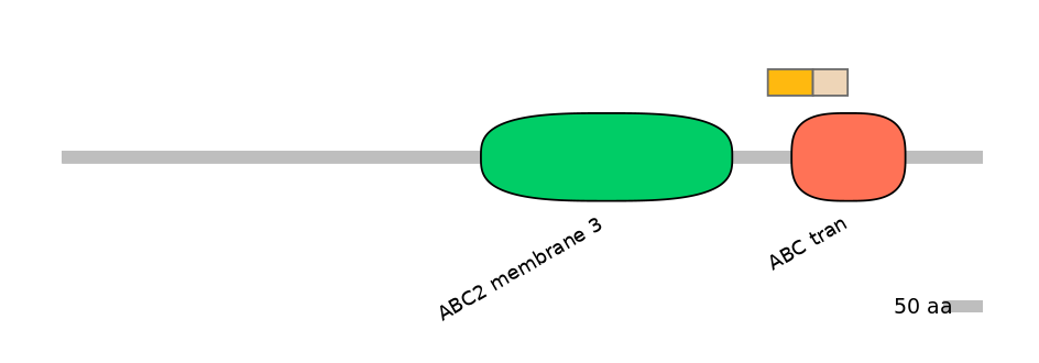 DreINT0000126-EXC
