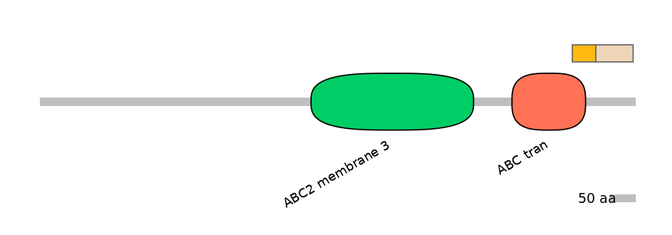 DreINT0000130-EXC