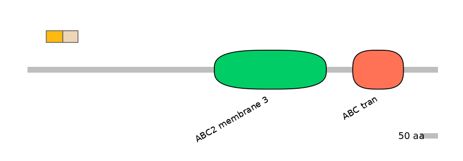 DreINT0000131-EXC