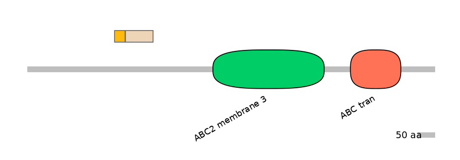 DreINT0000135-EXC