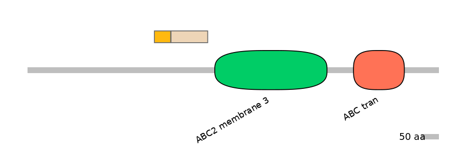 DreINT0000137-EXC