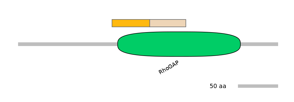 DreINT0000261-EXC
