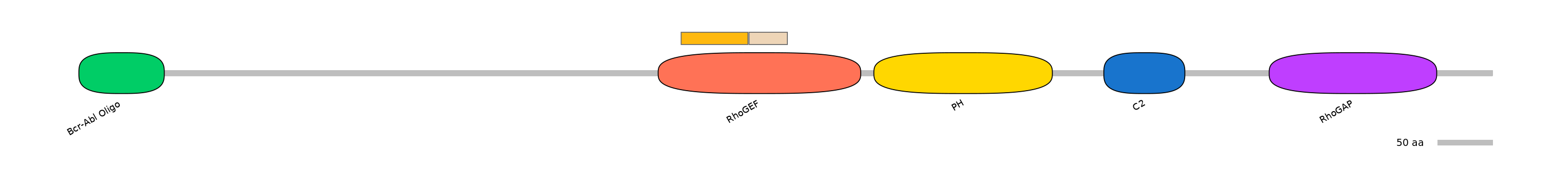 DreINT0001917-EXC