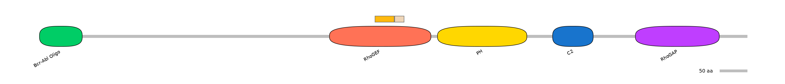 DreINT0001918-EXC