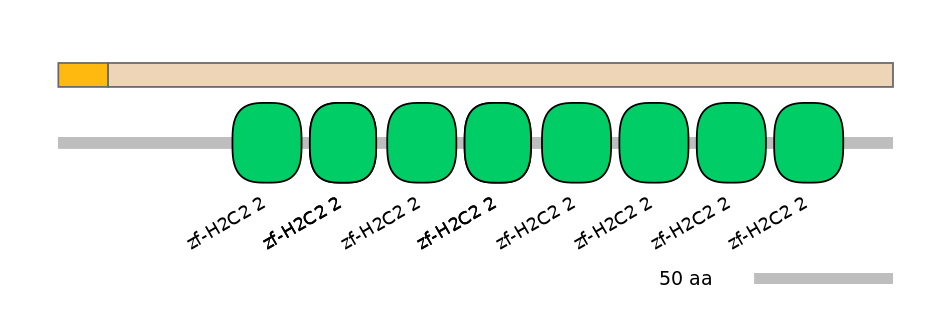 DreINT0002216-EXC