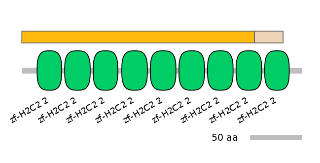 DreINT0002384-EXC