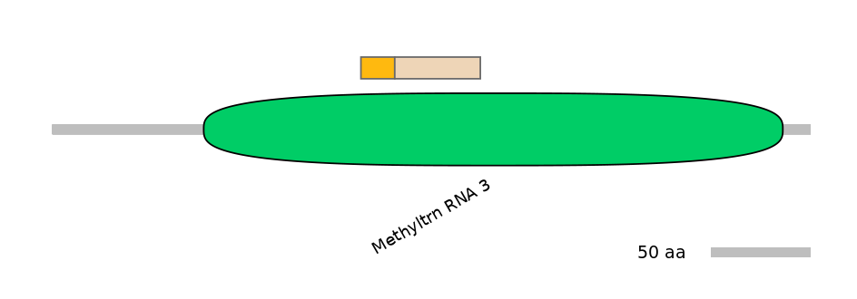DreINT0003301-EXC