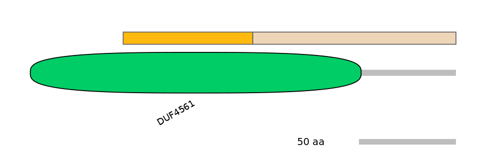DreINT0003759-EXC