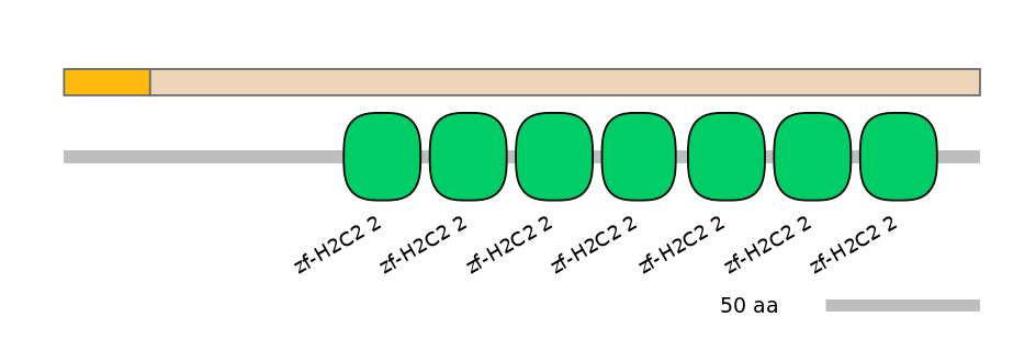 DreINT0004080-EXC
