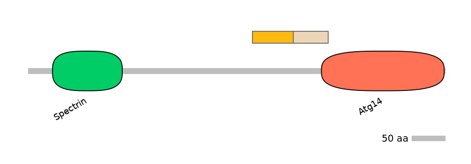 DreINT0004291-EXC