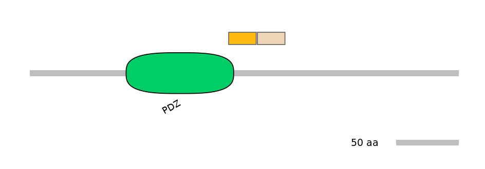 DreINT0005003-EXC
