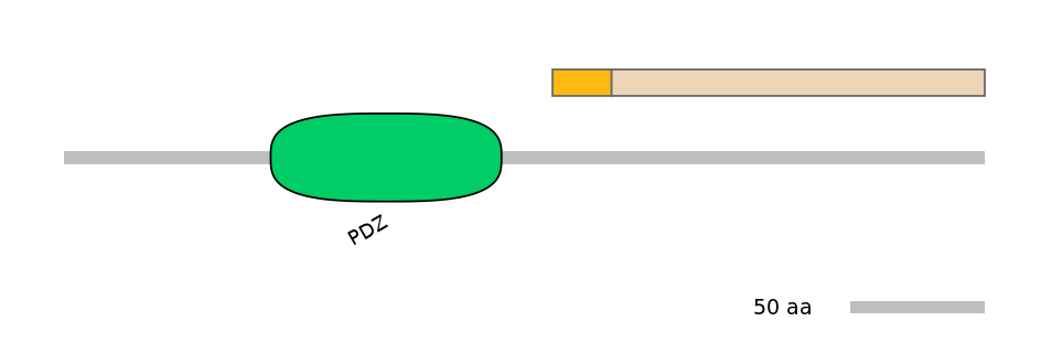 DreINT0005004-EXC