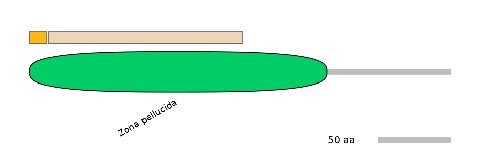 DreINT0005512-EXC