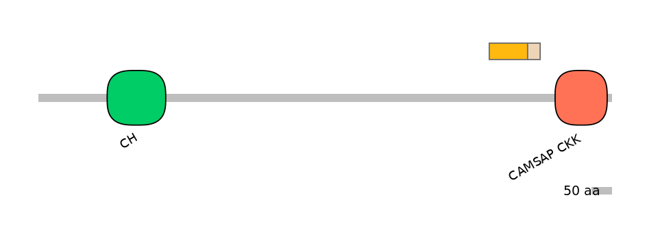 DreINT0005685-EXC