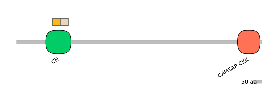 DreINT0005692-EXC