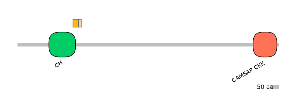 DreINT0005694-EXC