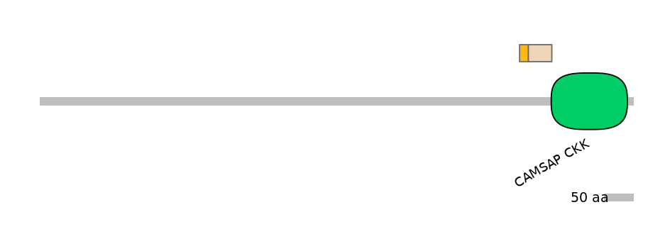 DreINT0005705-EXC