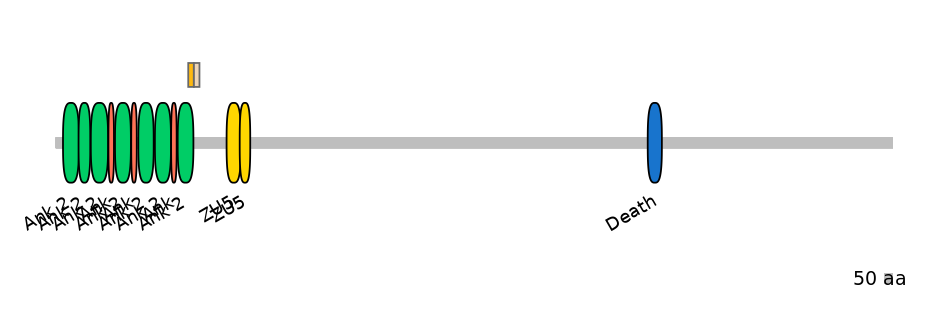 DreINT0007734-EXC