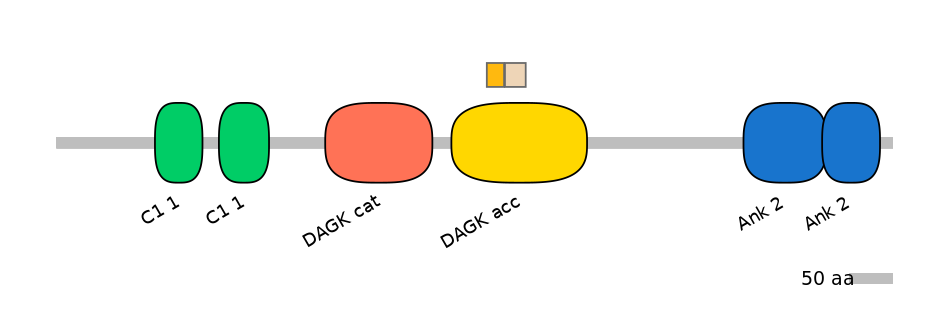 DreINT0008918-EXC
