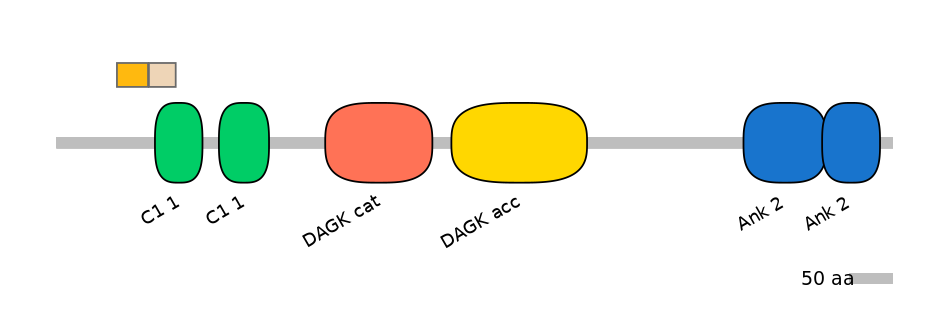 DreINT0008921-EXC