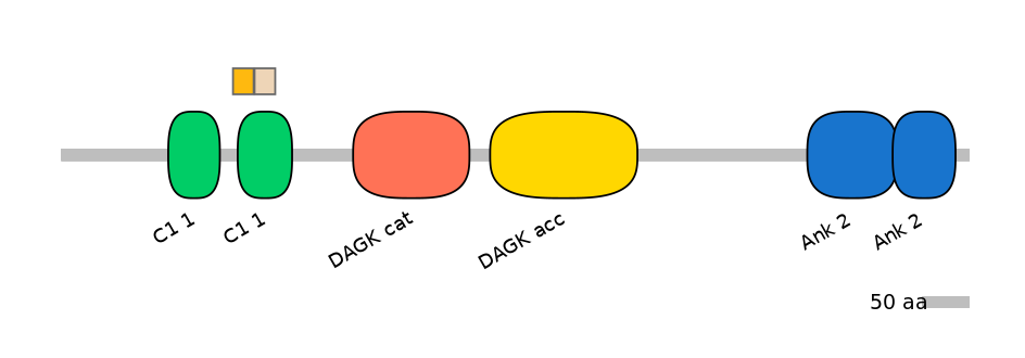 DreINT0008938-EXC