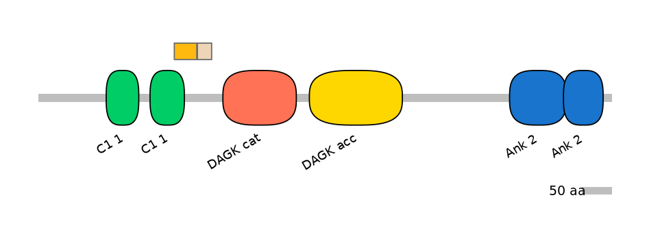 DreINT0008940-EXC