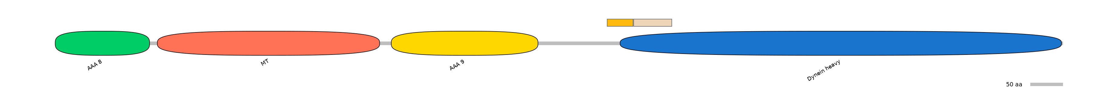 DreINT0009173-EXC