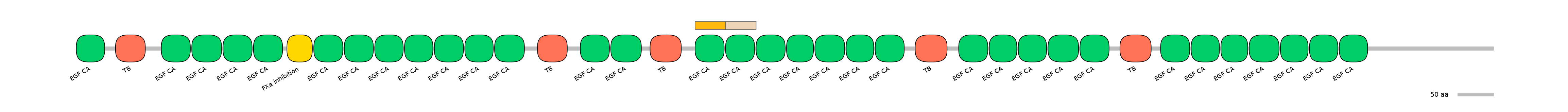 DreINT0010636-EXC