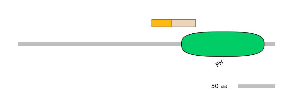 DreINT0011239-EXC