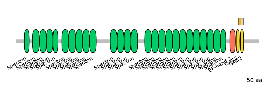DreINT0011434-EXC