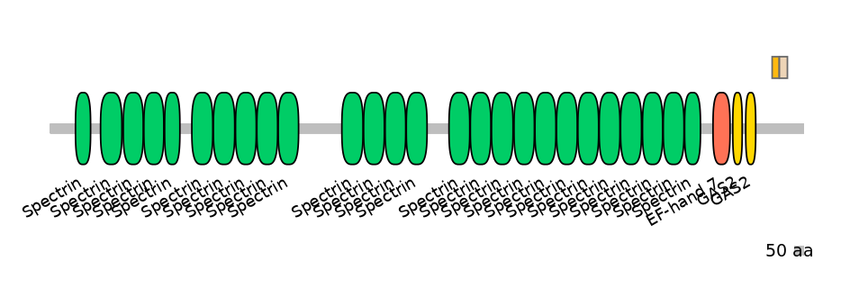 DreINT0011438-EXC