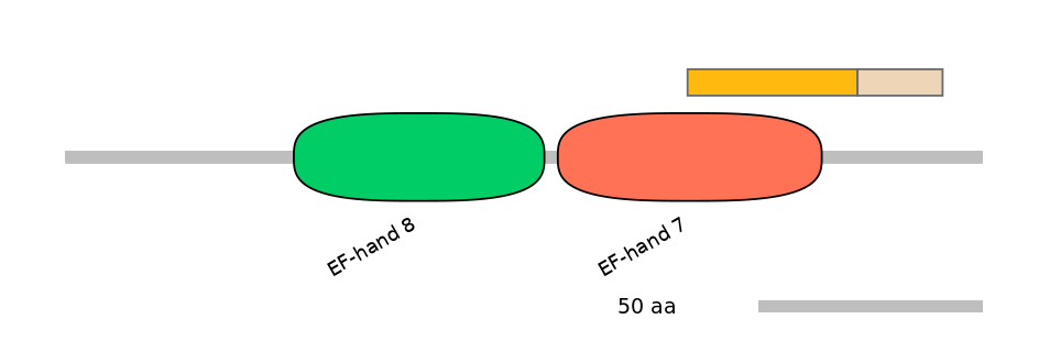 DreINT0011857-EXC