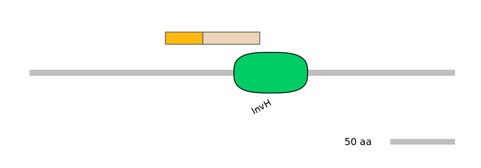 DreINT0012052-EXC