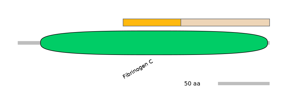 DreINT0014482-EXC