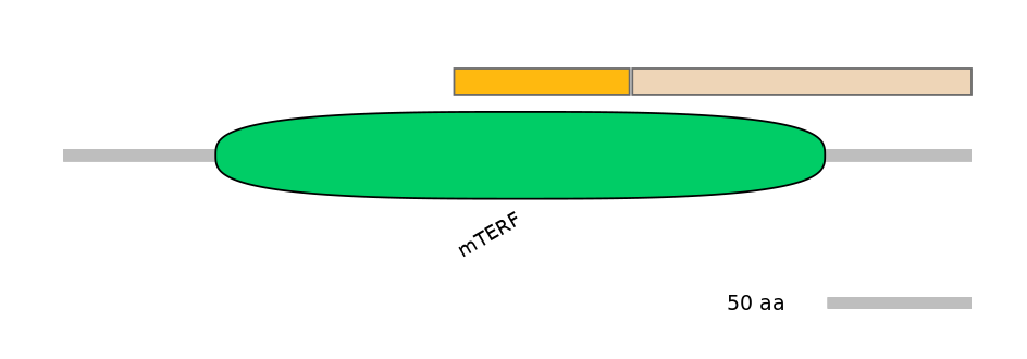 DreINT0014767-EXC