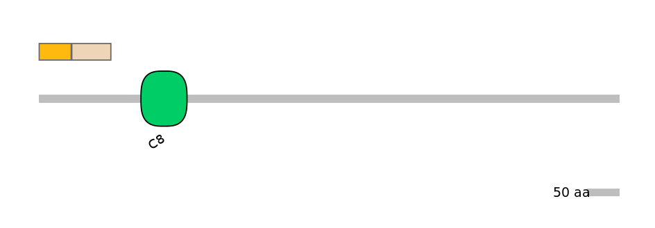 DreINT0014878-EXC